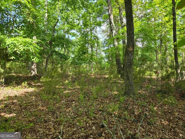 1010 Bunker Bnd, Home with 0 bedrooms, 0 bathrooms and null parking in Greensboro GA | Image 6