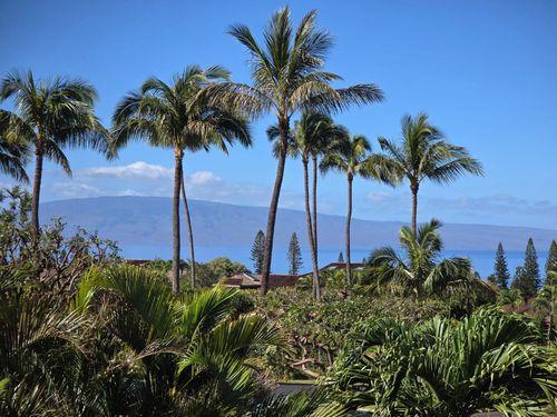 56 S Iwa Pl, Lahaina, HI, 96761-2202 | Card Image
