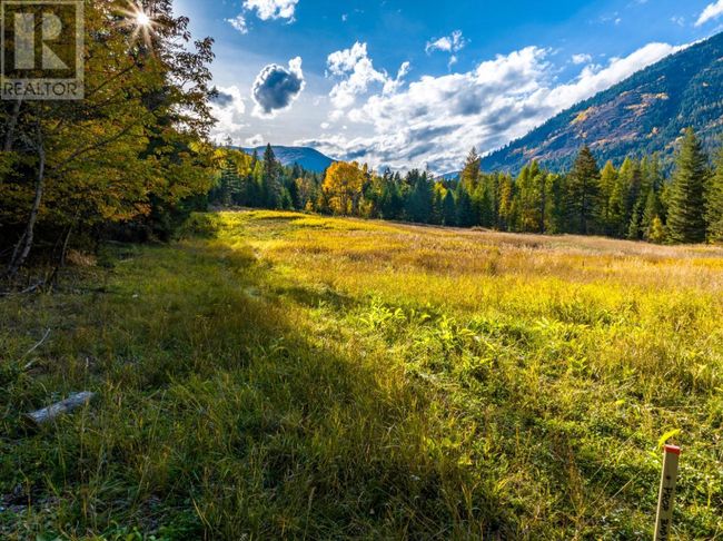 Lot 1 Corn Creek Rd, Home with 0 bedrooms, 0 bathrooms and null parking in Creston BC | Image 23