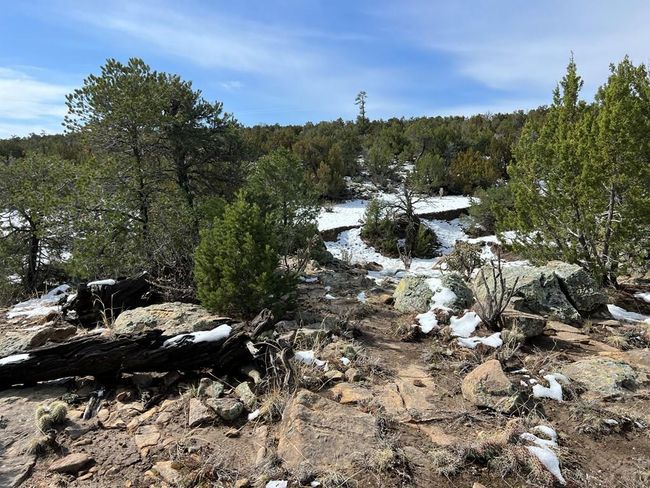 28 Turkey Ridge Rd, Home with 0 bedrooms, 0 bathrooms and null parking in Walsenburg CO | Image 24