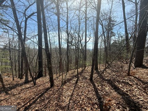 TRACT 3A Big Crk, Clayton, GA, 30525 | Card Image
