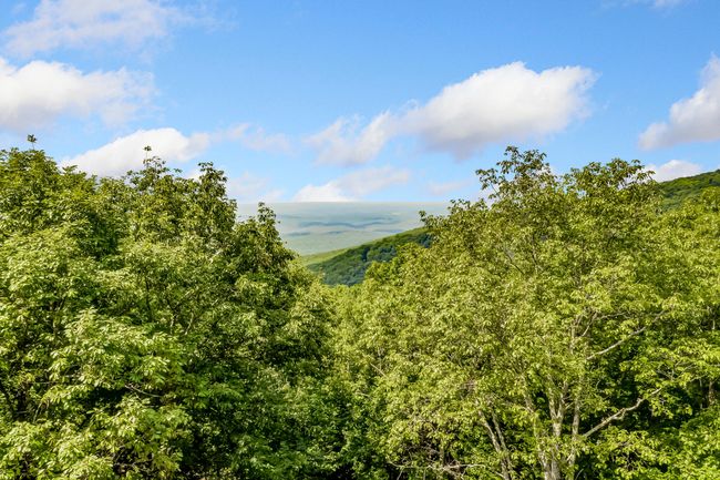 507 Big Stump Mountain Trl, House other with 3 bedrooms, 3 bathrooms and null parking in Jasper GA | Image 64