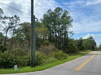 LOT-1 - 00 Richardson Boulevard, Home with 0 bedrooms, 0 bathrooms and null parking in WEBSTER FL | Image 2