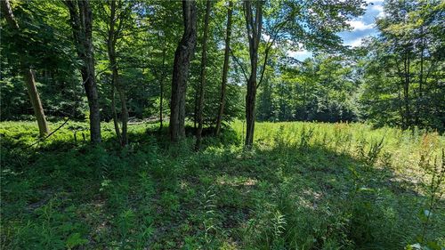 214 Larchwood Ln, Laurens, NY, 13796-1210 | Card Image