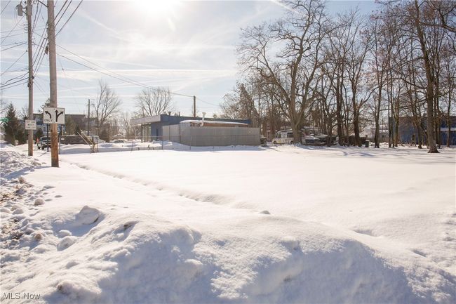 View of yard covered in snow | Image 21