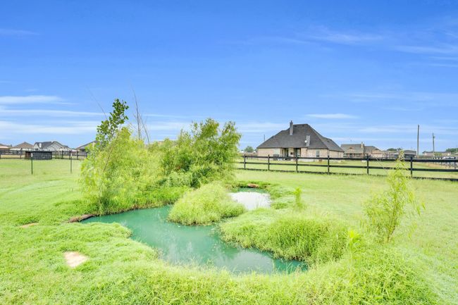 View of yard | Image 22