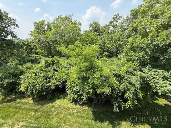 5620 Windridge Vw, Condo with 4 bedrooms, 4 bathrooms and null parking in Columbia Twp OH | Image 5