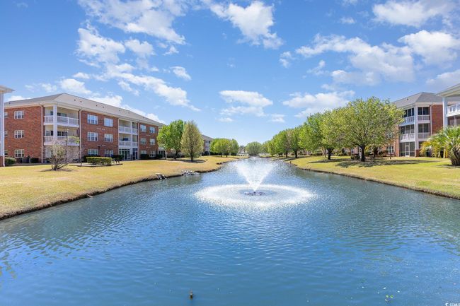 Water view | Image 23
