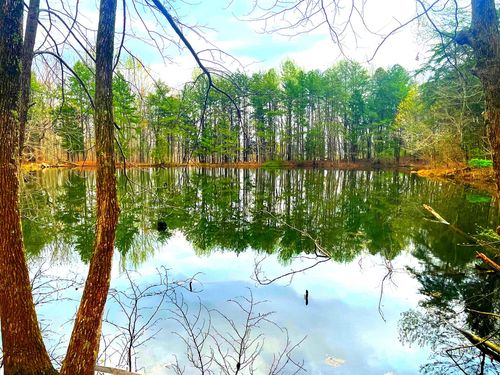 168 Teludachee Trl, South Pittsburg, TN, 37380-1708 | Card Image