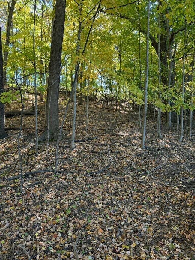 Lt0 State Road 83, Home with 0 bedrooms, 0 bathrooms and null parking in Hartland WI | Image 6