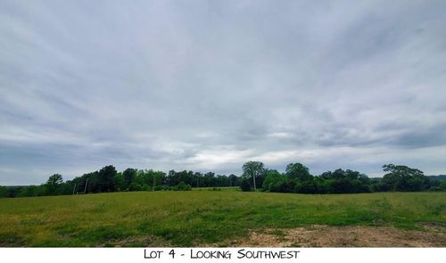 Lot 4 Pleasant View Rd, Brighton, MO, 65617 | Card Image