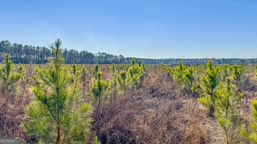 3-0 Us Highway 301, Statesboro, GA, 30461 | Card Image