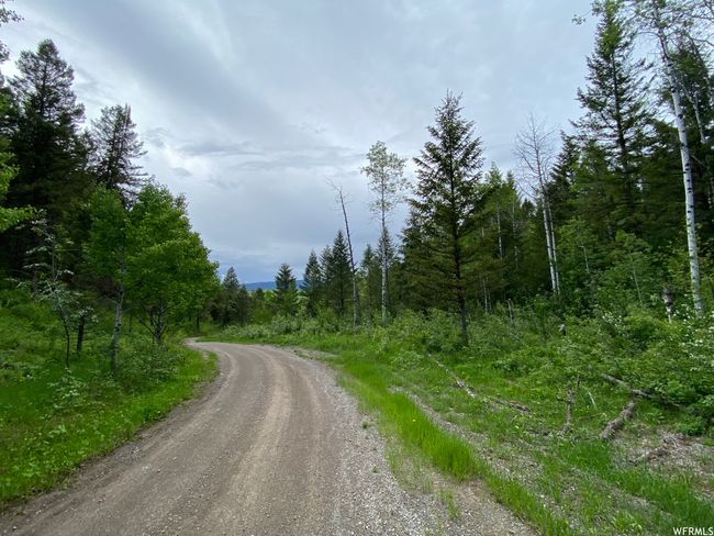 View of street | Image 74