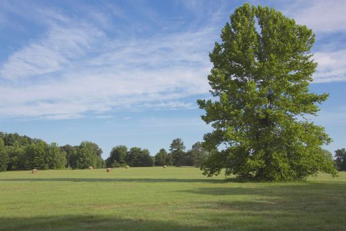 3490 Yager Dr, Moscow, TN, 38057-8314 | Card Image