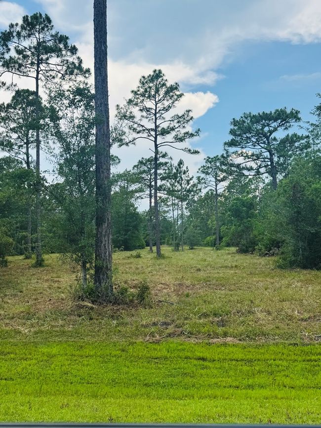 173 Skipper Rd, Home with 0 bedrooms, 0 bathrooms and null parking in Carrabelle FL | Image 10
