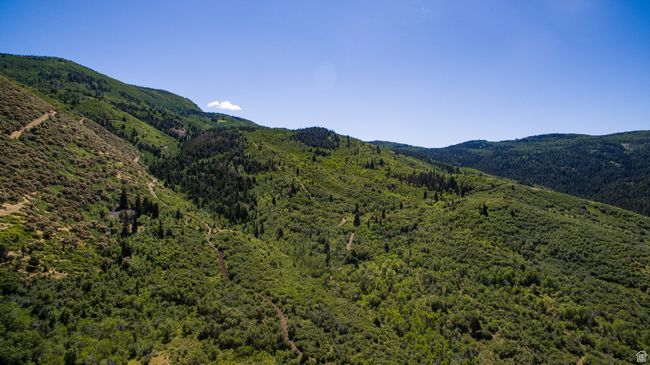 Property view of mountains with a forest view | Image 10
