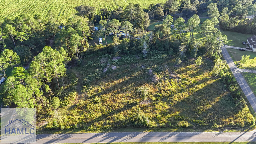 Land in Jesup 3