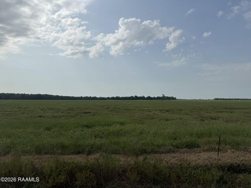 Tbd Whiteville Rd, Ville Platte, LA, 70586 | Card Image