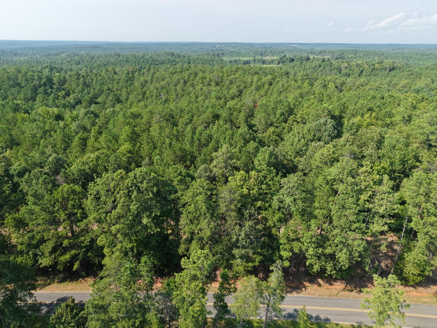 Land in Winnsboro 2