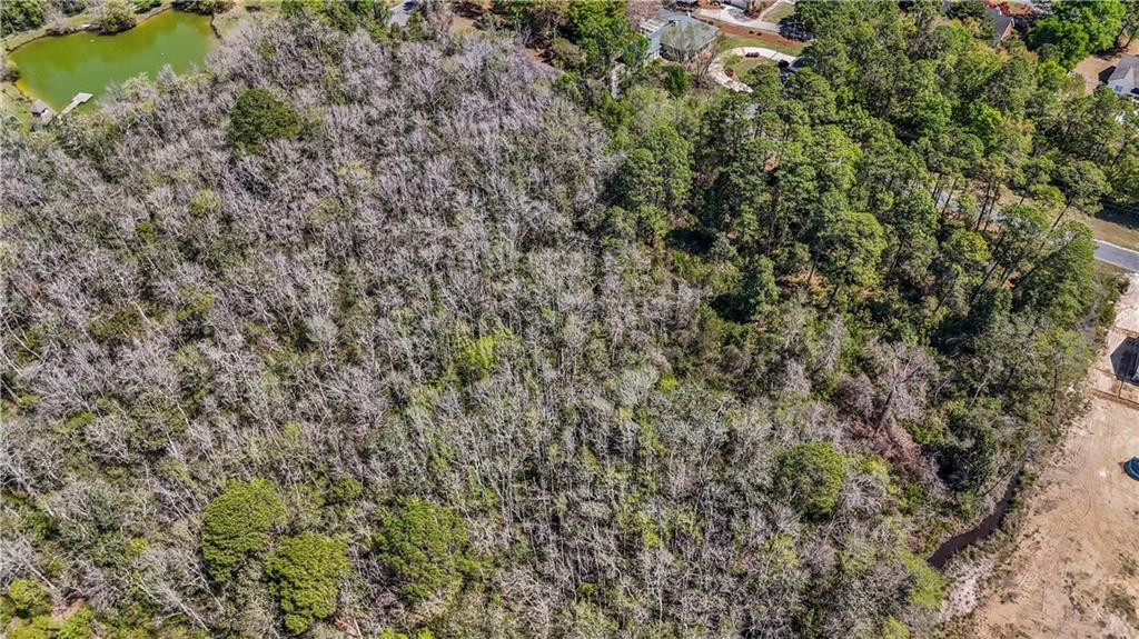 Land in Jesup 4
