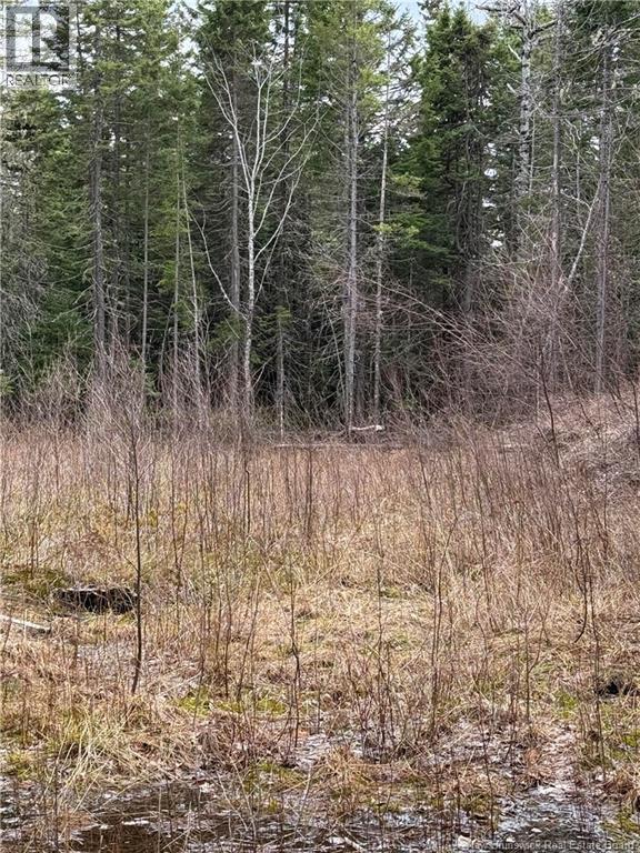 Land in Saint-Paul 3