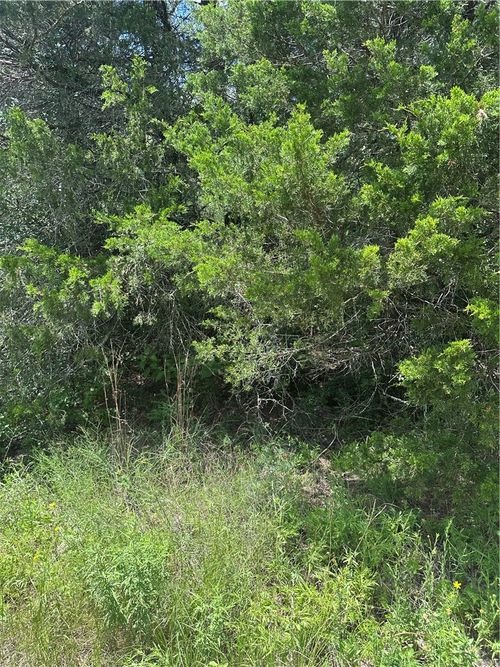 0 Chestnut Dr, Caldwell, TX, 77836 | Card Image