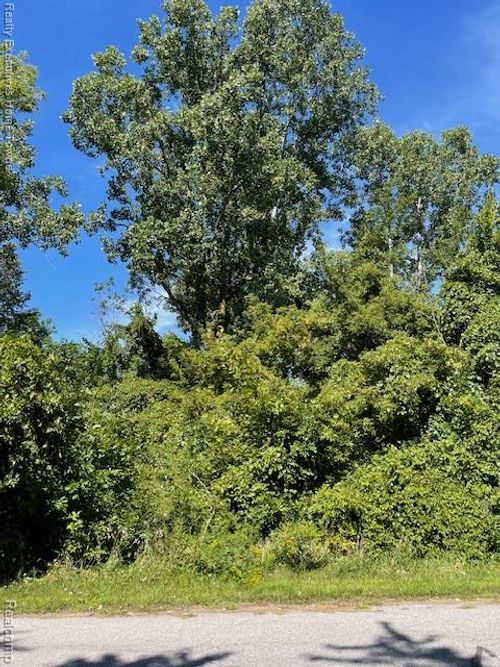 00 Campau Ave, Port Huron, MI, 48060 | Card Image