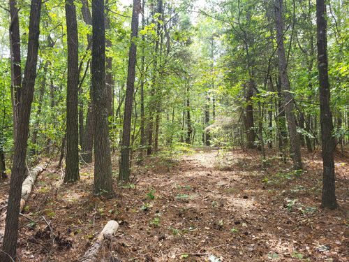 2 Chestnut Hill Rd, Eva, TN, 38333 | Card Image