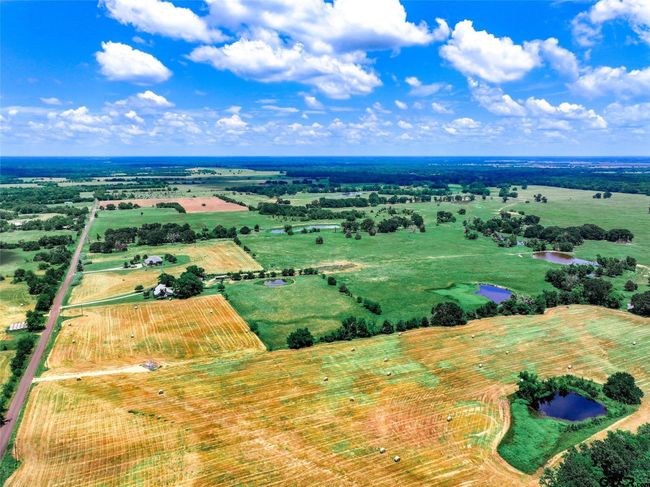 20 Acres County Road 3533, Home with 0 bedrooms, 0 bathrooms and null parking in Saltillo TX | Image 21
