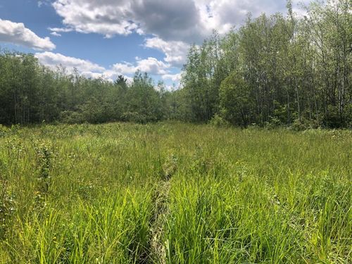 80 Elm Hoist Road, SANBORN, WI, 54806 | Card Image