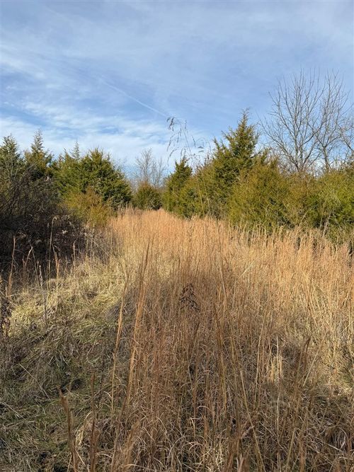 7890 Warsaw Rd, Dry Ridge, KY, 41035 | Card Image