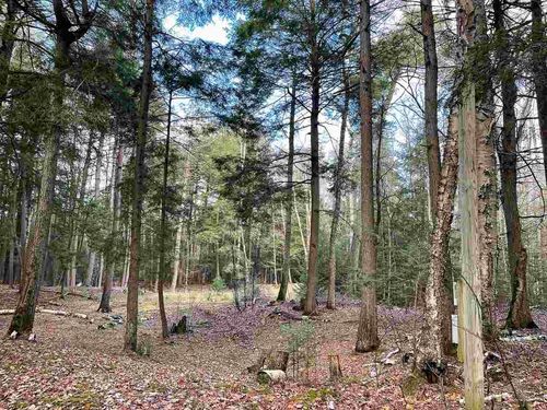 TBD E Side Dr, Beaver Island, MI, 49782 | Card Image