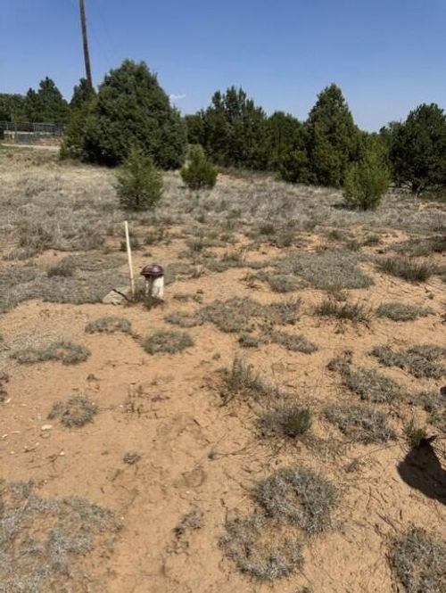 39 Quail Hollow Rd, Tijeras, NM, 87059 | Card Image