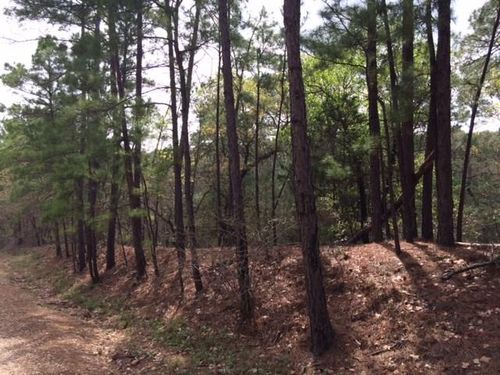 152 Molokini Dr, Bastrop, TX, 78602-5426 | Card Image