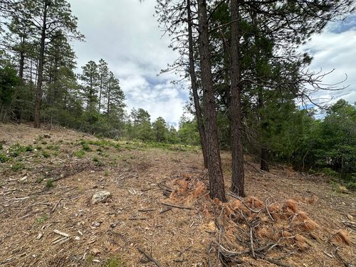 19 Brazos Ests, Chama, NM, 87520 | Card Image