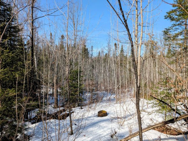 N12912 State Highway 13, House other with 2 bedrooms, 1 bathrooms and null parking in Fifield WI | Image 30