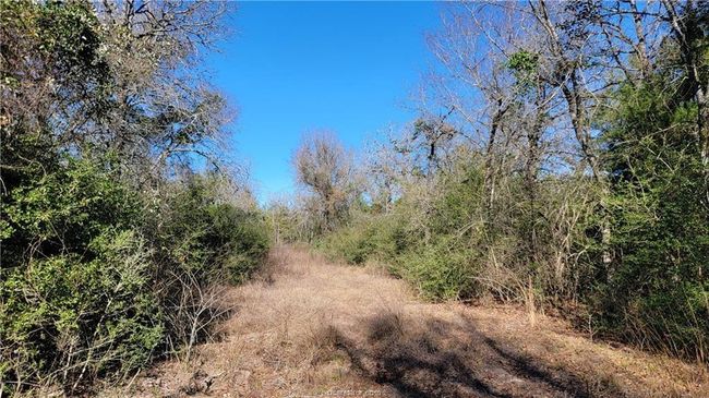 15 Old Hickory Grove Rd, House other with 4 bedrooms, 4 bathrooms and null parking in Franklin TX | Image 18