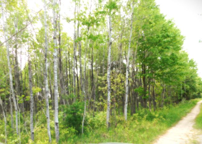 B2682 - 15880 Potter Rd, Home with 0 bedrooms, 0 bathrooms and null parking in Kaleva MI | Image 7