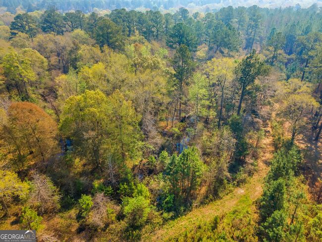 4103 Hadley Ferry Rd, House other with 2 bedrooms, 3 bathrooms and null parking in CAIRO GA | Image 31