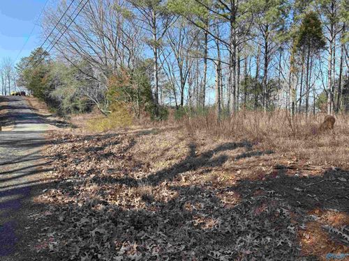 Lots 2&3 Savory Drive, Scottsboro, AL, 35769 | Card Image