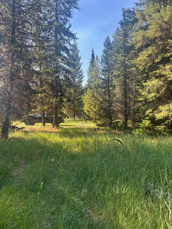 72 Keystone Flats Rd, House other with 3 bedrooms, 2 bathrooms and null parking in Libby MT | Image 18