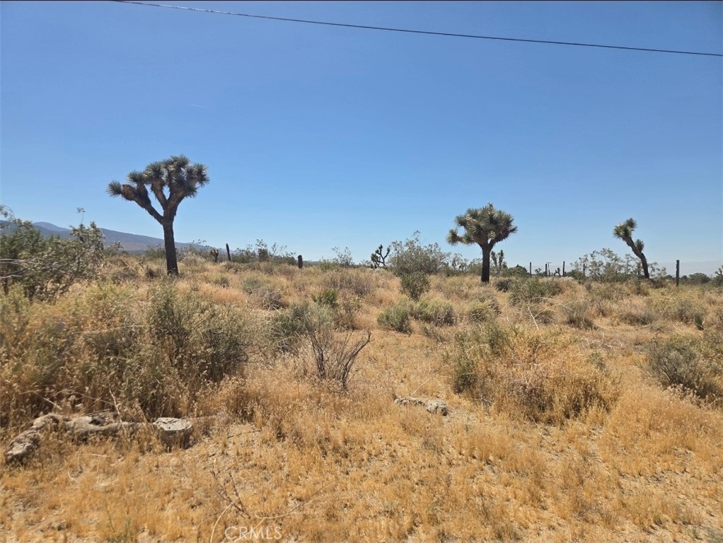Land in Pinon Hills 2