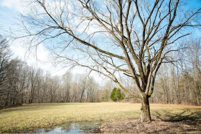 13300 Scottsville Rd, Home with 0 bedrooms, 0 bathrooms and null parking in Lucas KY | Image 16
