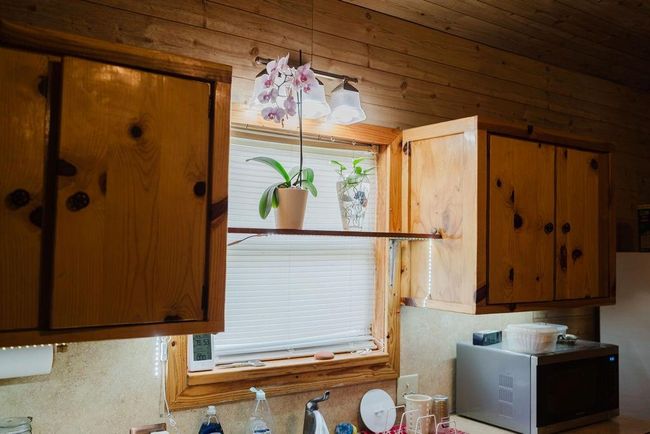Kitchen featuring wood cabinetry and window | Image 9