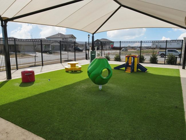 View of jungle gym | Image 40