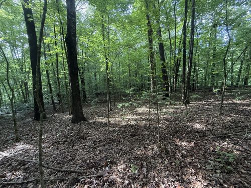 0 Cane Creek Cir, Stewart, TN, 37175 | Card Image
