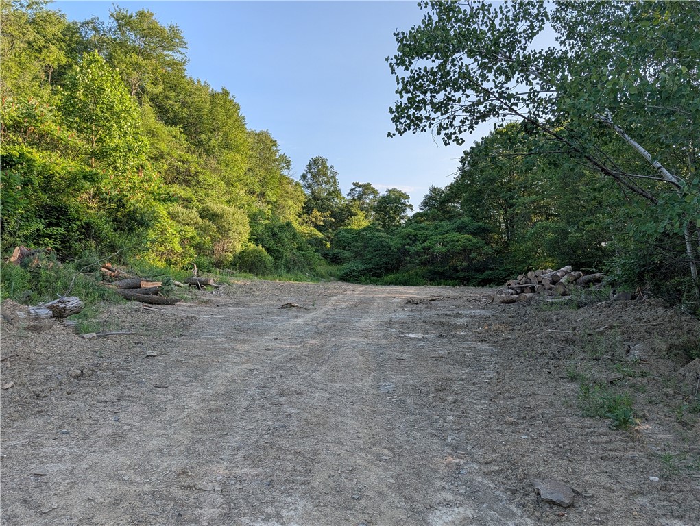 Land in Bradford Town 5