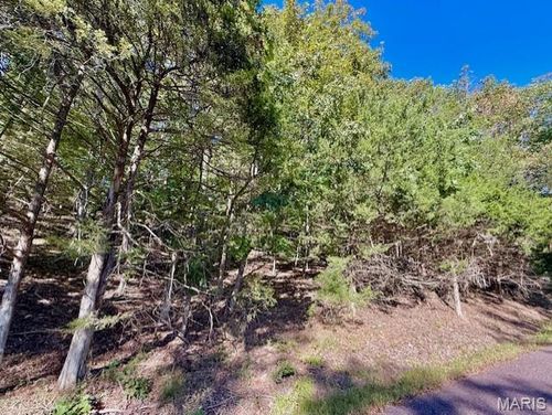 2159 S Lake Sherwood Dr, Lake Sherwood, MO, 63357-1574 | Card Image