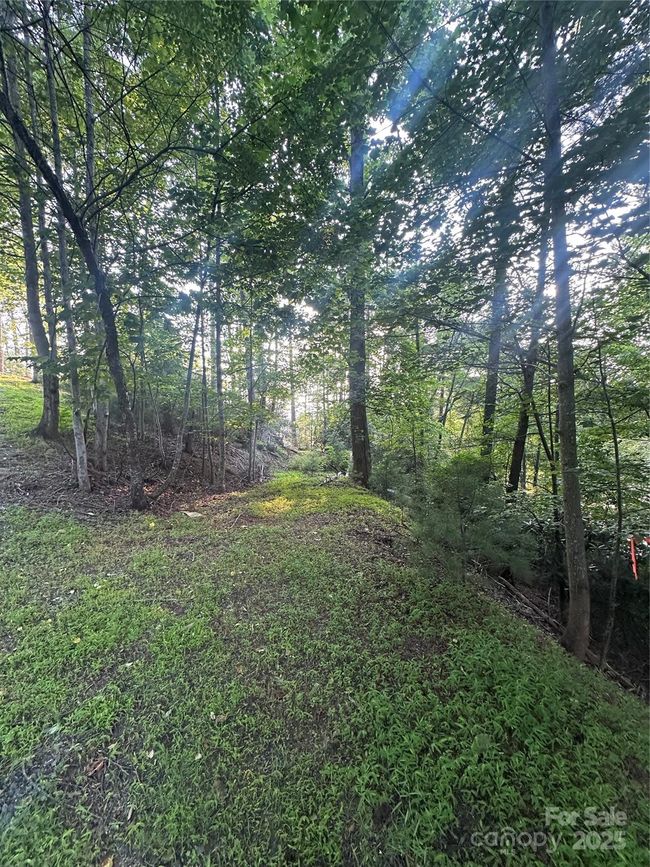 385 Dockside Dr, Home with 0 bedrooms, 0 bathrooms and null parking in Nebo NC | Image 16