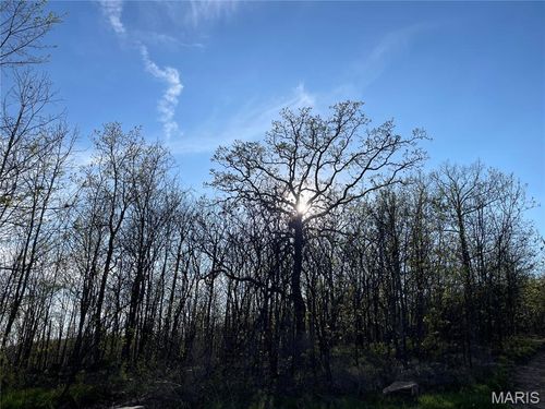 1190 Private Road 349a-5, Piedmont, MO, 63957 | Card Image